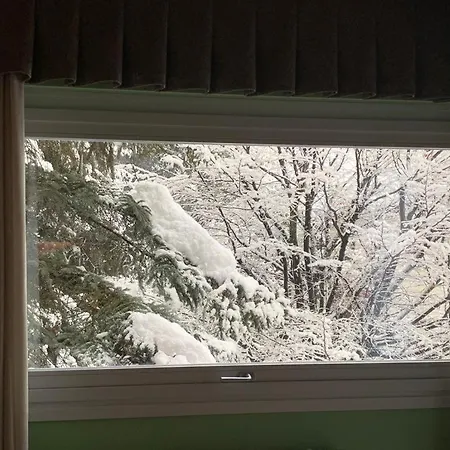 My Peaceful Retreat Apartment *