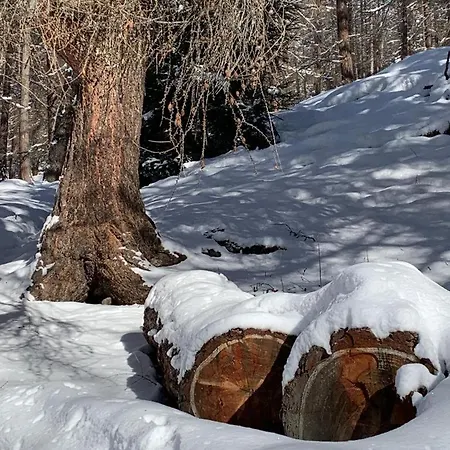 My Peaceful Retreat Apartament