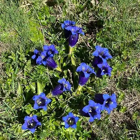 My Peaceful Retreat Daire