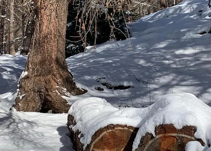 My Peaceful Retreat דירה